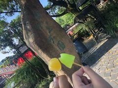 -横店影视城梦幻谷园区