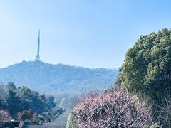 -大蜀山国家森林公园