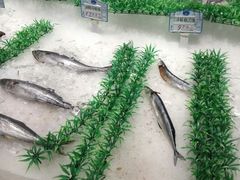 -大润发(八仙城店)