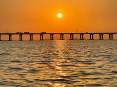 -宝安西湾红树林湿地公园