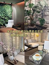 -VELEE·SPA高定疗愈会所