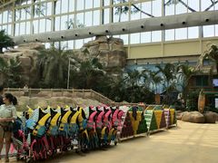 -杭州开元森泊度假乐园