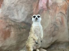 -长鹿旅游休博园