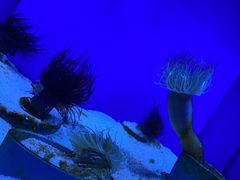-石家庄海洋公园
