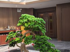 -流花苑精致潮粤菜(越秀店)