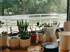 -Cafe Villa