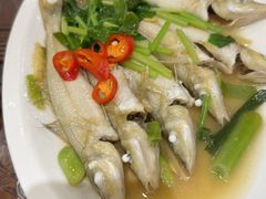 -长平肥姐白粥·海鲜打冷