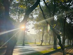 -四川大学(望江校区)