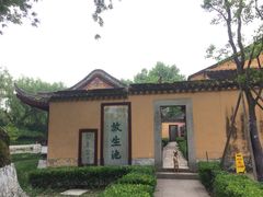 -范蠡湖公园