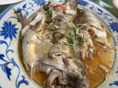清蒸白水鱼-状元楼(金溪路店)