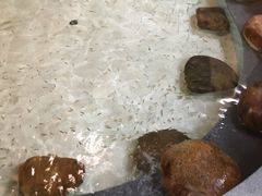 -御池园(顾村公园店)