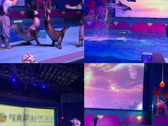 -南昌融创海世界