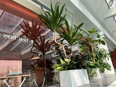 -TRACTION 运动中心(金融街店)