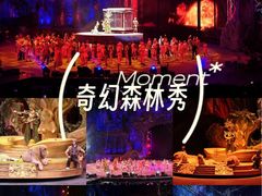 -广州长隆国际大马戏