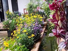 -浔岚云舍mist静谧观景美宿(丽江古城店)