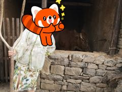 -红嫂家乡旅游区