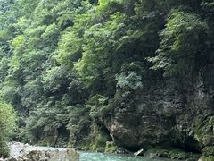 -南江大塘鱼庄