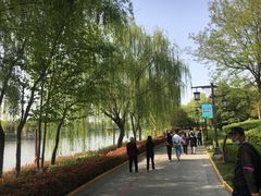 -西安汉城湖景区