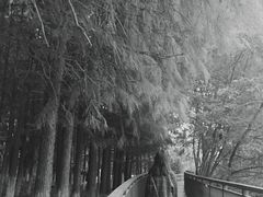 -月湖风景区