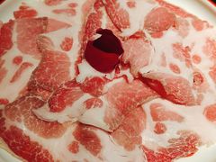 -潘小辣鲜肉老火锅