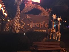 -清迈夜间动物园