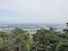-阳台山自然风景区