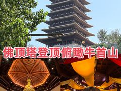 -牛首山文化旅游区