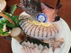 老虎斑-东海怡品海鲜豆捞(舟宿夜江店)