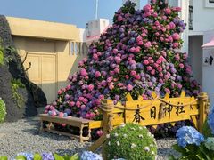 -Blue Concept Cafe&Farm·關於藍