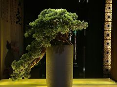 -江南足纪·影院足道·轻奢SPA(笋岗HALO广场店)