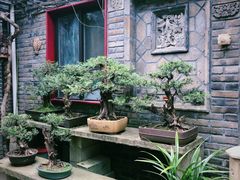 -老张烤羊(王哥庄店)