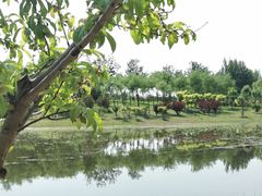-东郊湿地公园