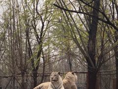 -秦皇岛野生动物园