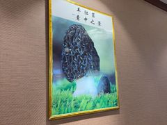 -菌之家·专业纯野生菌火锅·特色炒菌