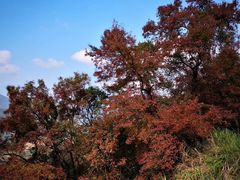 -广州市石门国家森林公园
