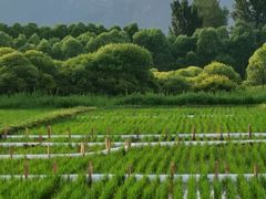 -野鸭湖国家湿地公园