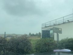 -西京湾花海