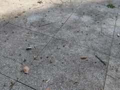 -宜春禅都文化博览园