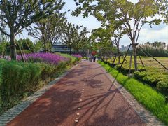 -上海山野camping·户外天幕烧烤·团建拓展营地