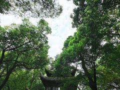 -西园寺