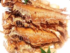 -甄御•海鲜新青岛菜(麦岛店)