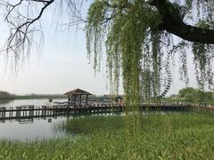 -太湖湖滨国家湿地公园-停车场