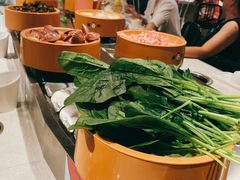 -龍歌自助小火锅(市北和达中心城店)