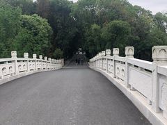 -同里国家湿地公园
