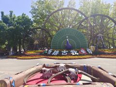 -呀路古热带植物园
