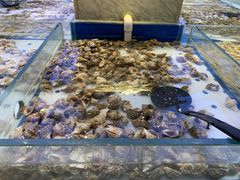 水产区-川骄海鲜自助(河东店)