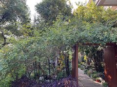-谷咖啡·鲜花绿植花园餐厅