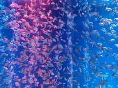 -成都浩海立方海洋公园