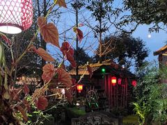 -青城甲(青城山店)