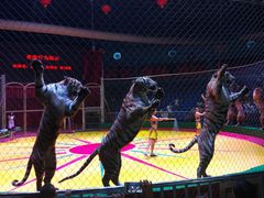 -西安秦岭野生动物园